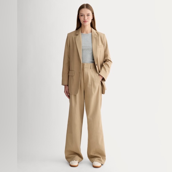 Everlane The Draper Pleated Pant Buttersmooth Ash Brown Size 6R